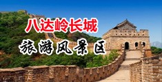 免费美女鸡巴中国北京-八达岭长城旅游风景区