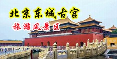 美女被男人用鸡巴捅的视频软件中国北京-东城古宫旅游风景区